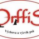 Orffis