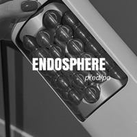 NK STUDIO Endosphere
