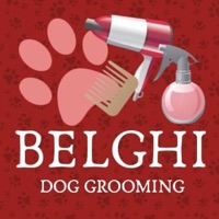 Belghi Grooming