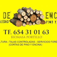 Biomasa Portillo