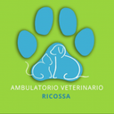 Ambulatorio veterinario Ricossa