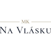 Salón Na Vlásku