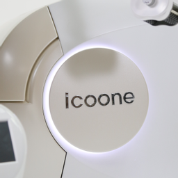 Icoone