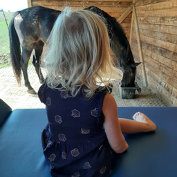 Séance enfant (Abri)