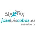 José Luis Cobos