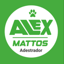 Alex Mattos Adestrador