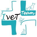 Centro Veterinario Ivet Team