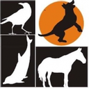 Jiří Ščučka - Animal Training Academy