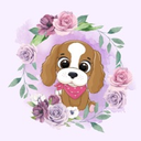 Pet da Belinha
