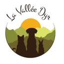 La vallée dyr