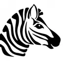 Kreativní zebra