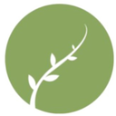 Balancezone_TČM_masáže