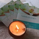 L’univers de Kamelia