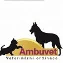Ambuvet