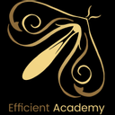 Efficient Academy