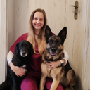 VETlearning