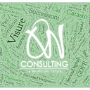 N.O Consulting