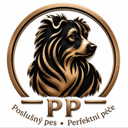 Psí Salon Poslušný pes Perfetní péče