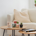 Meadow Center Közösségi Tér