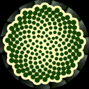 Biznaga Red Creativa