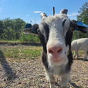 Nordre Lindeberg Gård