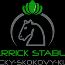 Carrick Stables: Jezdecky-skokovy-klub.cz