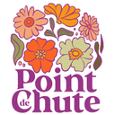 POINT DE CHUTE