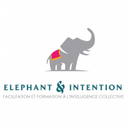 Elephant & Intention