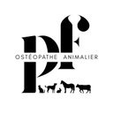 Pauline Faucillon - Ostéopathe Animalier