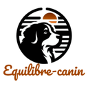 Equilibre Canin