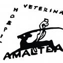 Hospital Veterinario Amaltea