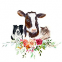 Veterinární ambulance Amálka