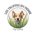 Les truffes en herbe