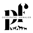 Pauline Faucillon - Ostéopathe Animalier