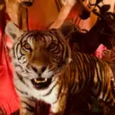 L'Univers de BILODEAU Canada