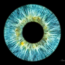 Hypnosepraktijk Ann Fieuw CommV