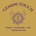 Gemini touch