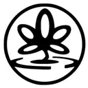 Masáže orientální a klasické