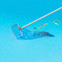 Brian Prudeaux Pools And Handyman Service