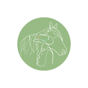 Equi Harmony | Mariana Allegrini