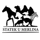 Nadace Statek u Merlina