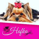 Salón Hafka