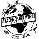Arachnopark World