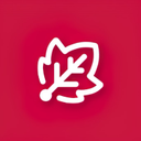 Město Město Albrechtice