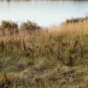 Mgr. René Matlášek - soukromá psychologická praxe