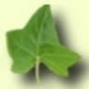 Escola Practiques II