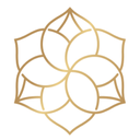 MindSpace Wellness