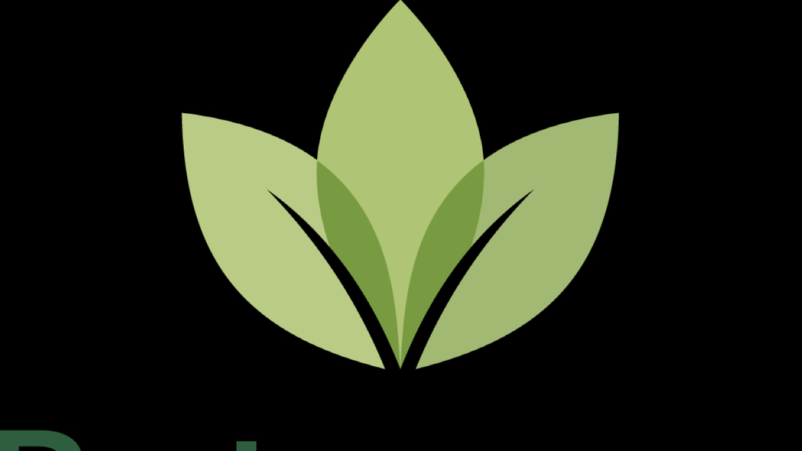 Ymene KALIFA- Naturopathe fonctionnelle