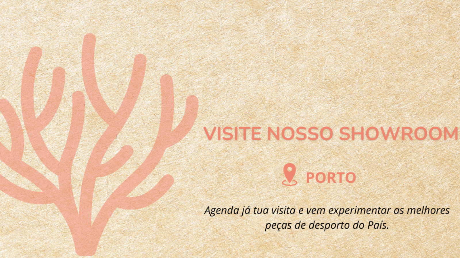 Ôxe Store Showroom
