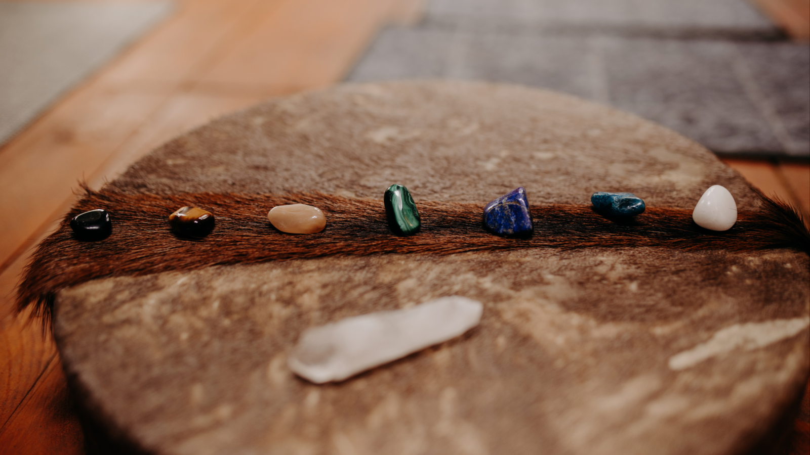 Patricia Dubost Martin